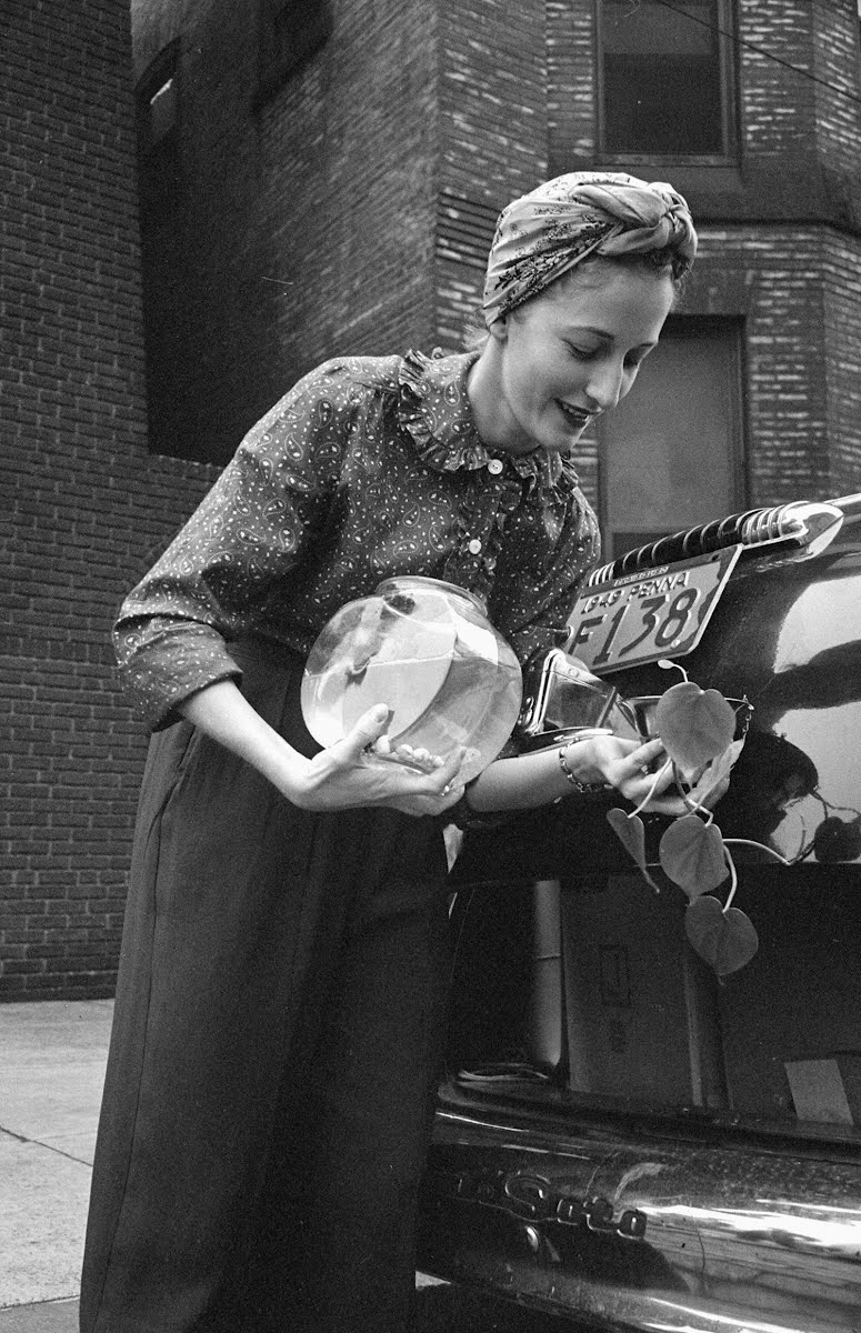 Philadelphia Ywca Moves