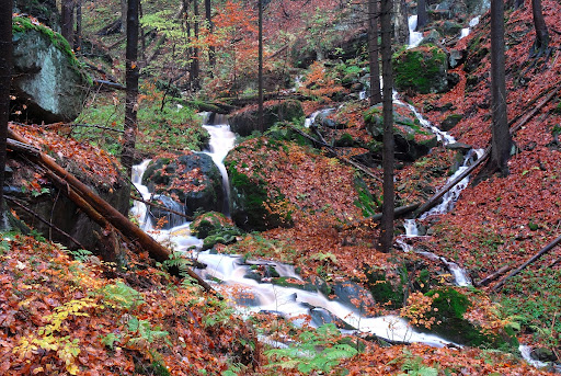 Stream in Stolowe Mountains