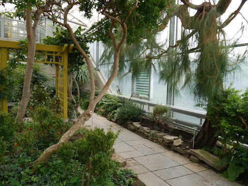 Mediterranean Garden