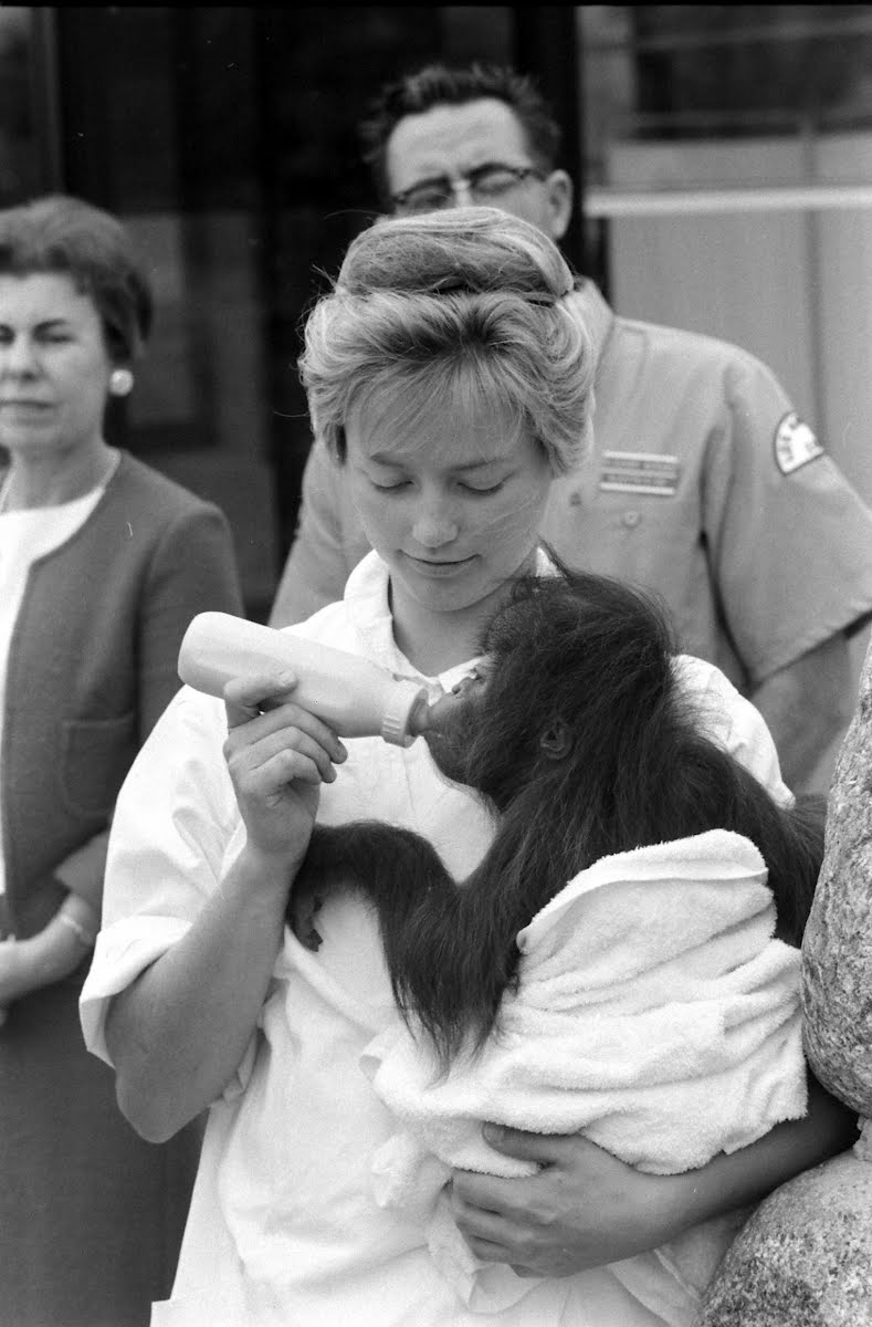Los Angeles Zoo Opening