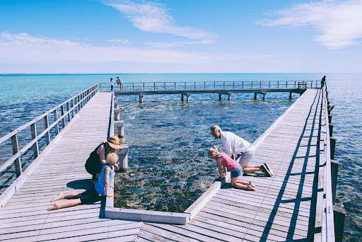 Stromatolites at Hamelin Pool Marine Nature Reserve