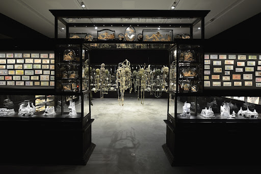 Fiona Hall: Wrong Way Time, installation view, Australian Pavilion