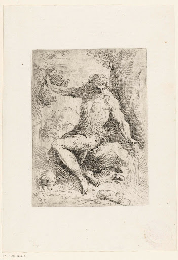 Johannes de Doper in de wildernis