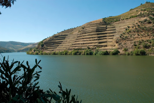 Quinta de La Rosa