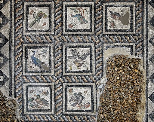 Bird Mosaic after Restoration