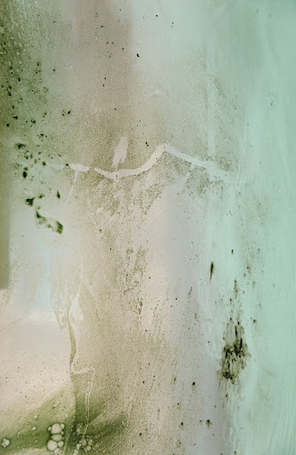 A Matter of Matter – agaG1; Growthcentrism – C15H18NO10