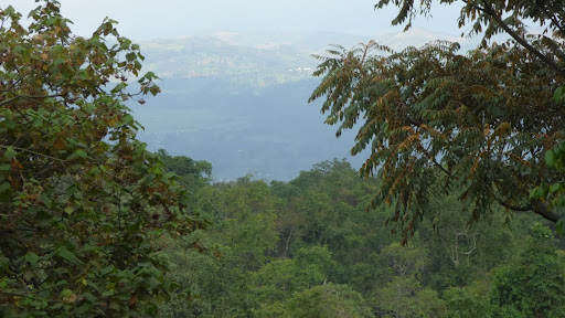 Paysage autour du Parc National Kahuzi biega