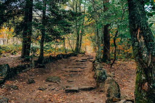 Allée menant aux Pierres Jaumâtres