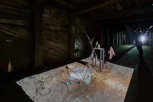 Into All That Is Here With The Two Cockatoo Too Installation Image