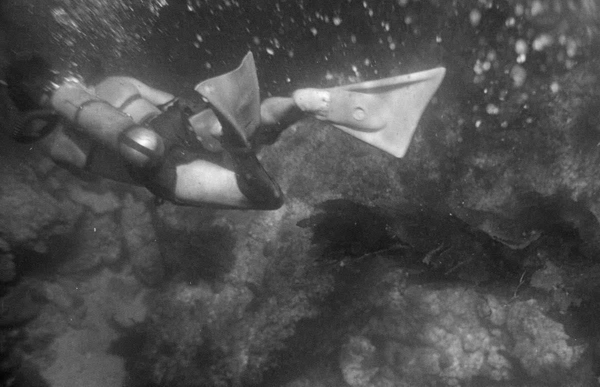 Underwater Weekend