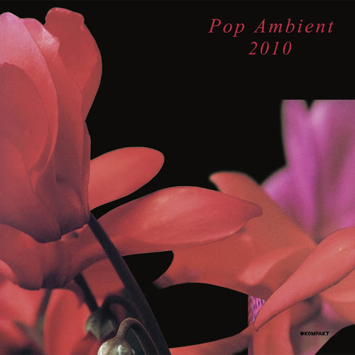 Pop Ambient 2010