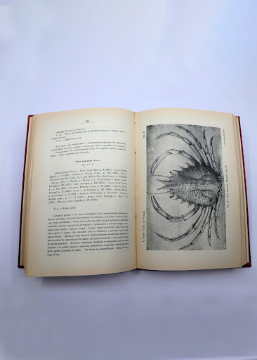 Photograph of the book "Decapod crustaceans and marine stomatopods from Portugal" by Augusto Nobre