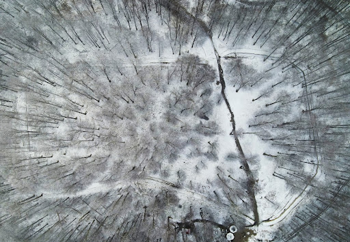 Roman fortification at Grădiștea de Munte - Sarmizegetusa Regia (Hunedoara)