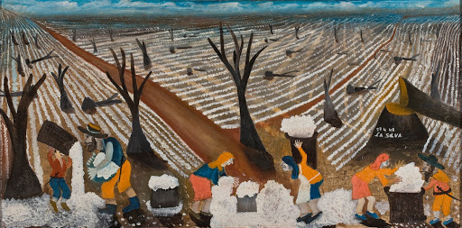 Cotton Harvest
