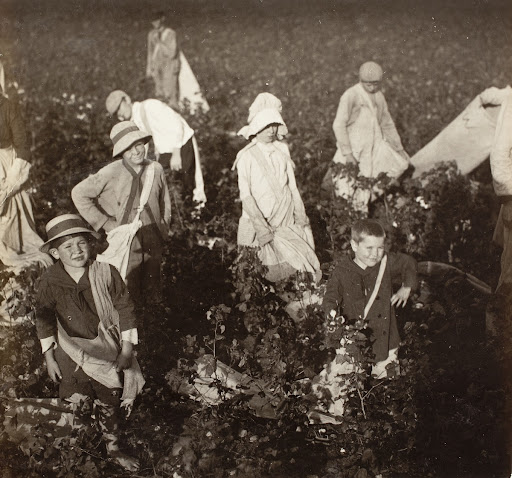 Near Waxahachie, Tex.