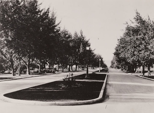 Form 9 ornamental Novalux