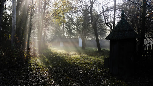 Mglisty poranek w muzeum