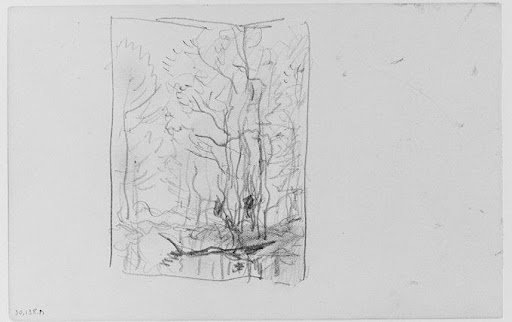 Tree Study (from Sketchbook)