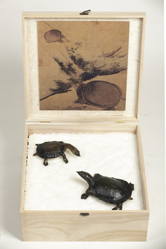 장한종의 '어패류와 갑각류' 재현