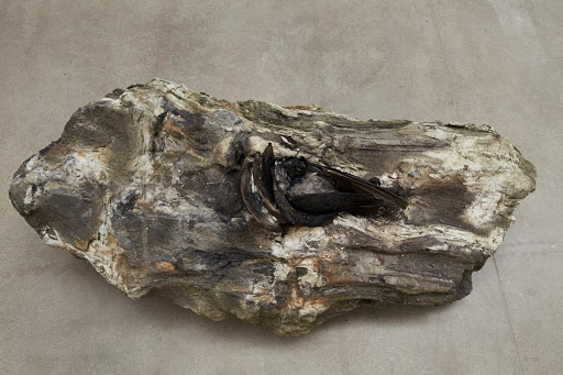 From the series Rinascimento (107) (Dalla serie Rinascimento – 107)