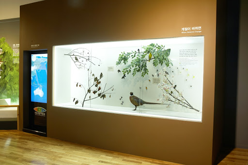 With the Seasonal Change