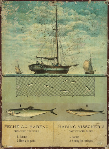 Lithograph ' Pêche au hareng / Haring Visscherij'