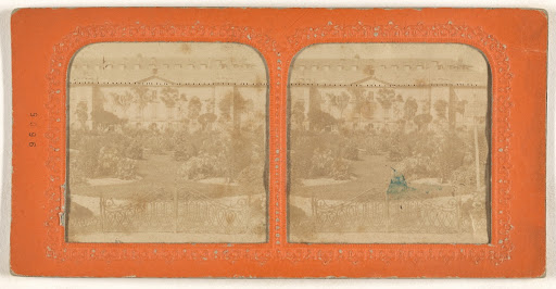 [Jardin des Plantes] (Full Front)