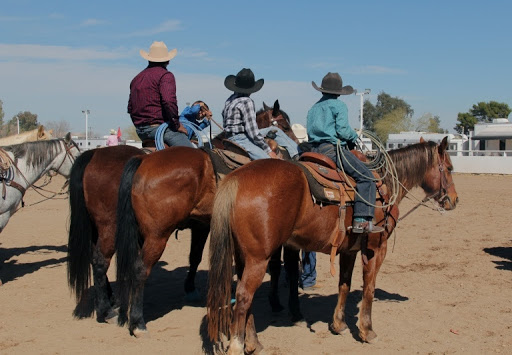 Cowboys at the rodeo