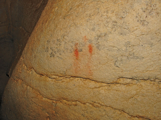 p23_galerie cactus-traits découverteils sont venus_