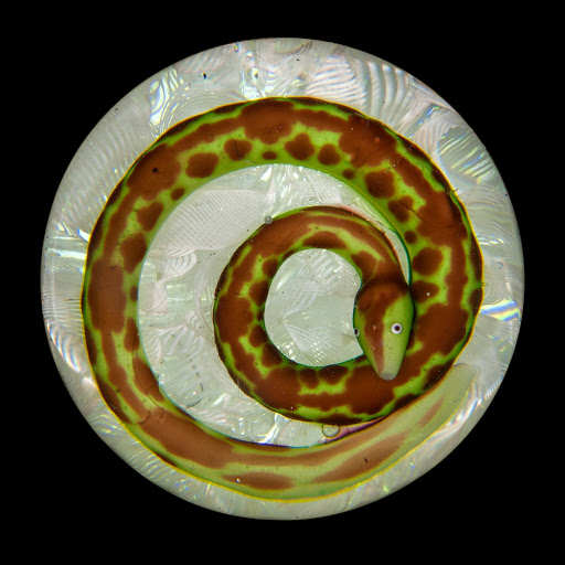 Coiled Snake Paperweight