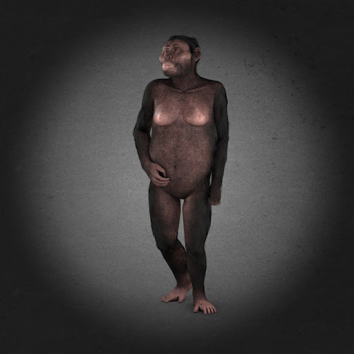 Lucy, het eerste gevonden volledige skelet