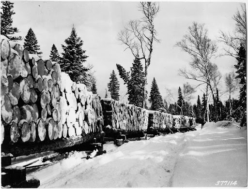 Brown Company Lombard Tractor Hauling Nine Sled Loads of Pulpwood in Magalloway Township, Maine
