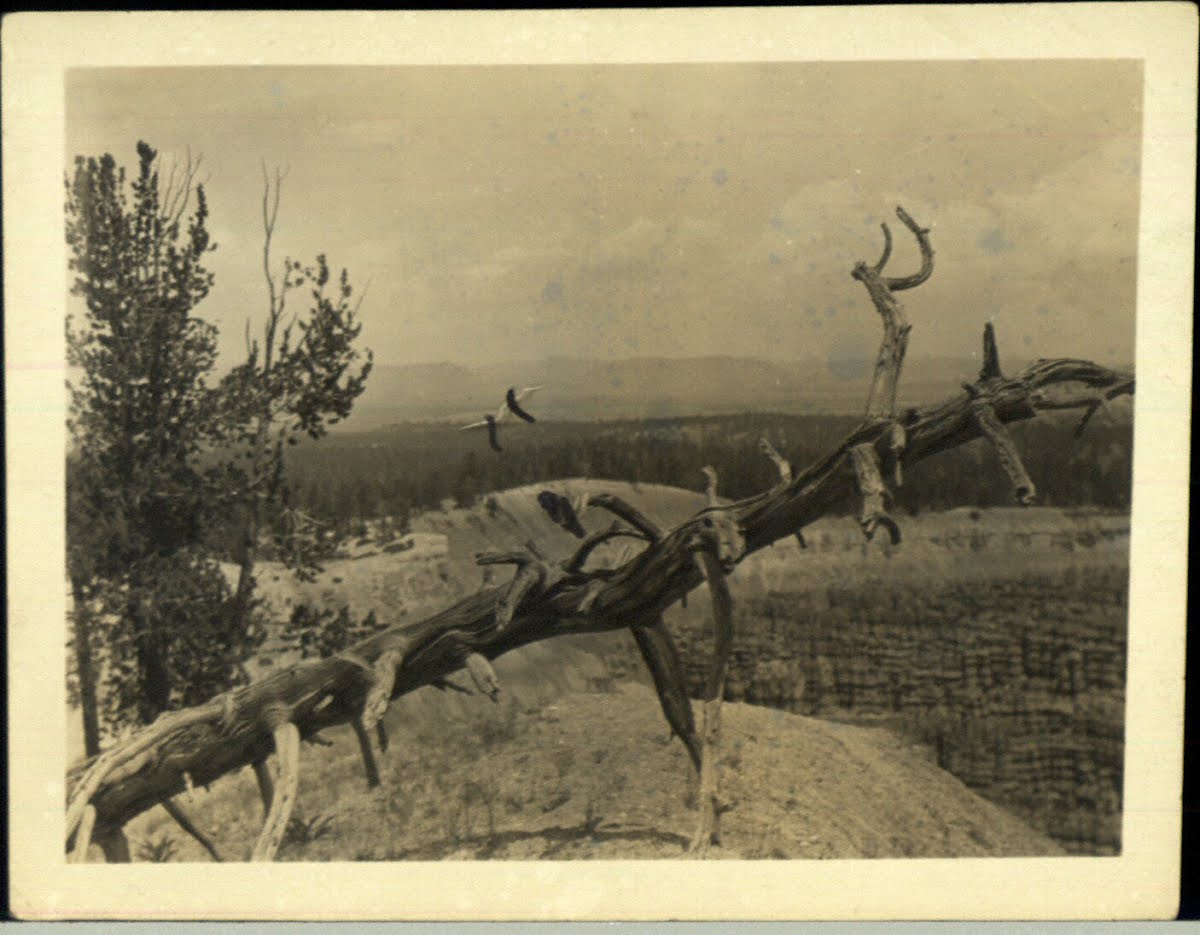 Amer(Usa) Utah-Bryce Canyon And Zion