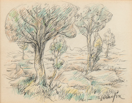 Trees and pond