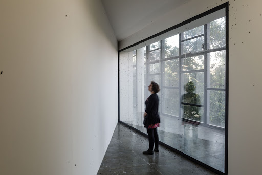 Des-Extinção (S.P. Evolução)