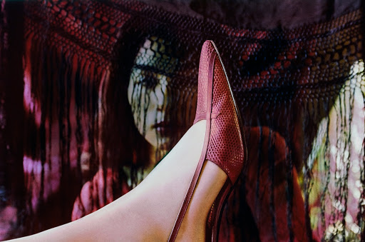 Red Lizard Skin Shoe, Vogue