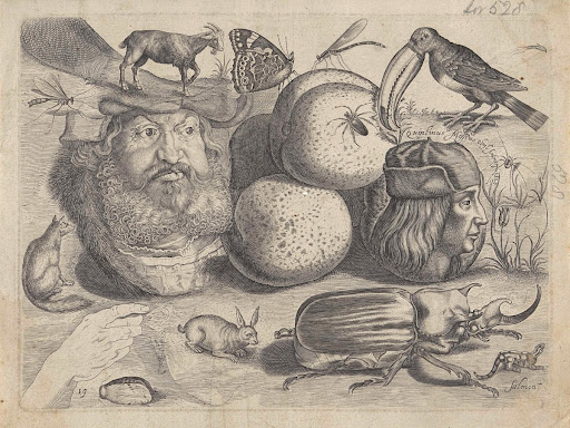 Studieblad met tekenvoorbeelden: portretten, dieren, insecten