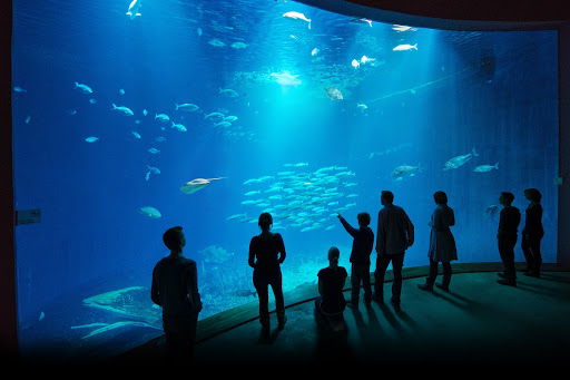 The largest panel in the OZEANEUM measures 9.5 x 5.5 meters
