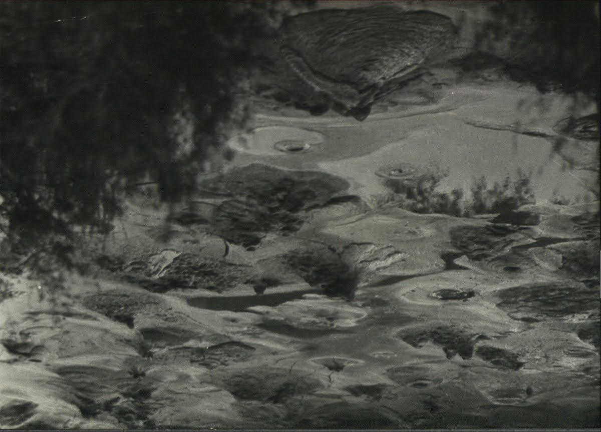 Top New Zealand Wairakei Boiling Mud Stream Ect