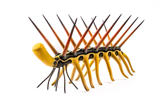 A change of perspective