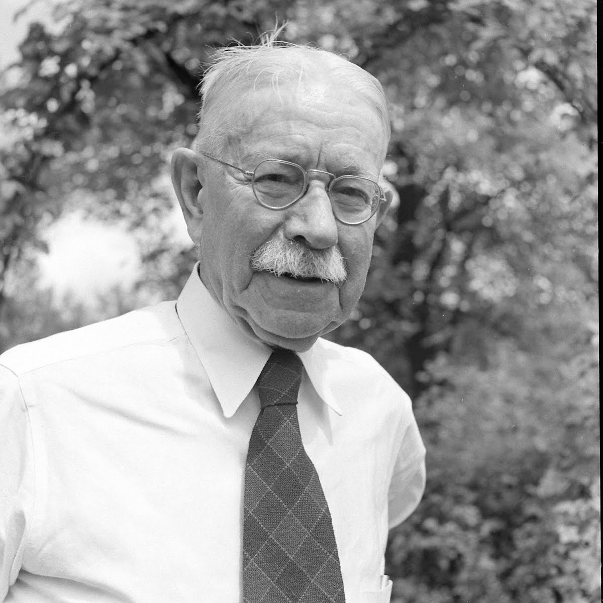 Mcfullens Rosegarden In Harrisburg