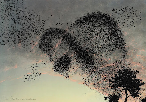 Wisirare from the series Bandadas