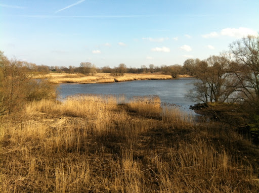 A part of the river Elbe today