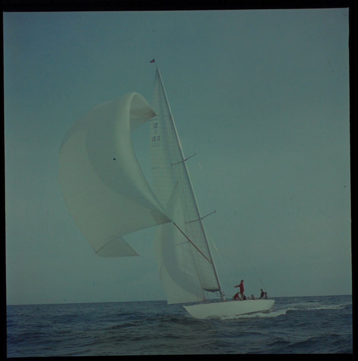 12 M. Sailboat