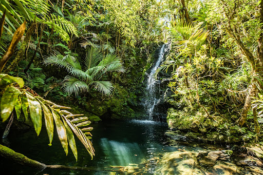 Mount Panie, New Caledonia