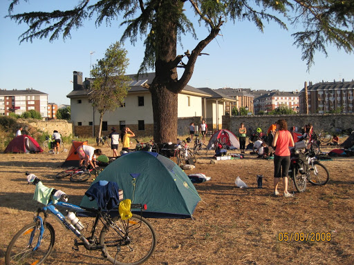 When a tree is also a shelter