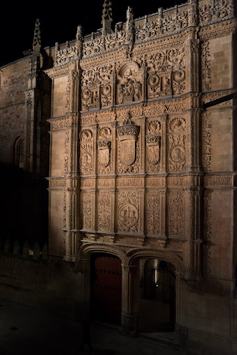 Fachada de la Universidad de Salamanca (noche)