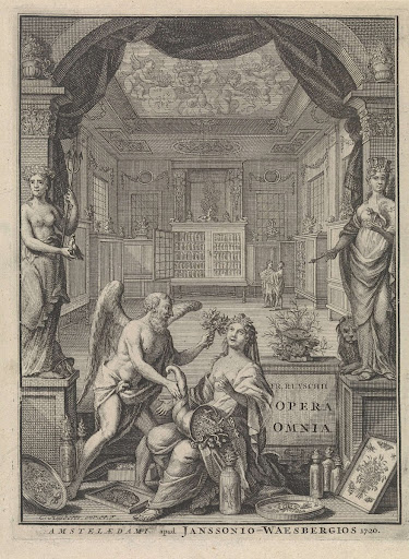 Allegorie op de natuur