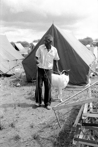 Apartheid Land Removals, Homelands, Animals