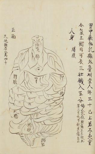 Xuanmen Maijue Neizhao Tu (Diagnosing and Treating Diseases through Viscera)